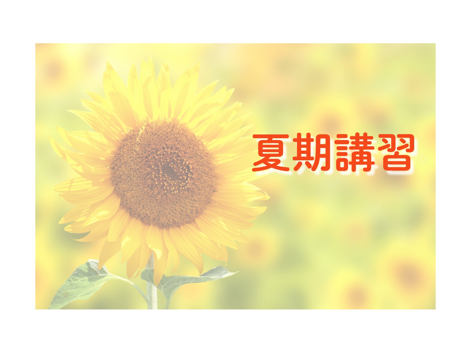 4/29よりオープン受付夏期講習のご案内【年中】